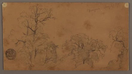 Cimes des arbres, Niagara