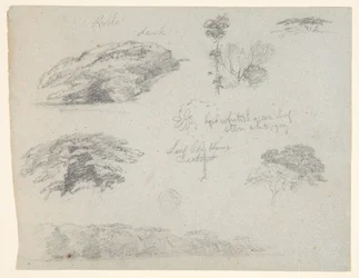 Arbres, Cimes des Arbres, et une Berge Boisée, Saddleback, Maine