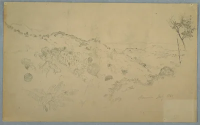 Vallée boisée avec une grande fougère et des chaînes de montagnes lointaines, Jamaïque
