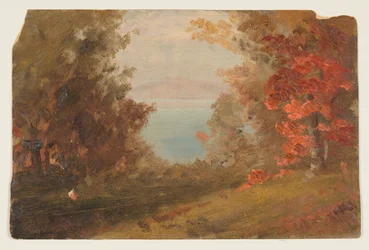 Scène Forestière en Automne