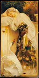 Odalisque