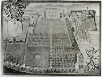 Le jardin de plantes médicinales du roi, 1636