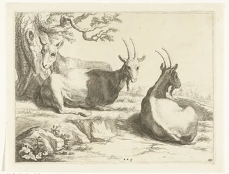 Chèvres