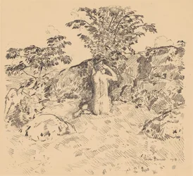 Le cerisier sauvage