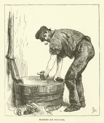 Lavage de ses pommes de terre