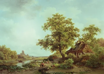 Paysage boisé