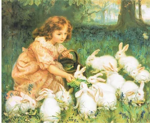 Alice au pays des merveilles, source inconnue