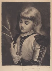 Coccinelle