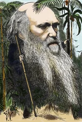 Charles DARWIN (1809-1882) caricature de F. Waddy dans « Once A Week » de 1873