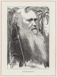 Charles Darwin, Sélection Naturelle