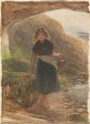 Le ramasseur de moules