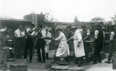 Un python de 6 mètres porté par onze membres du personnel de la Société zoologique, Zoo de Londres, juin 1925