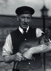 Un gardien tient un wallaby, octobre 1920