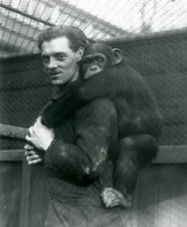 Un homme porte la chimpanzé Sally sur son dos, zoo de Londres, 1924