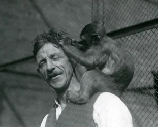 Un jeune singe toilettant les cheveux du gardien Flewin, Zoo de Londres 1928