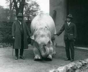 Éléphant Albinos Pawah avec Dr. Saw Po Min et son fils, Zoo de Londres, mai 1926