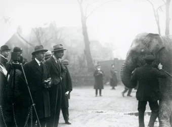 Un éléphant indien, peut-être Sundermalah, participant à une émission en extérieur du Zoo de Londres, 1925