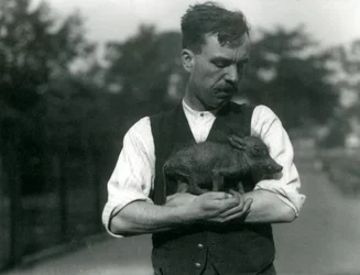 Le gardien Harry Warwick berçant un bébé phacochère dans ses bras au zoo de Londres, août 1922