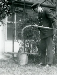Le gardien Thomas Raggett donnant une douche à un Podarge gris, Zoo de Londres