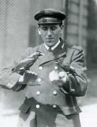 Deux Mainates sur les mains du gardien Thomas Raggett, Zoo de Londres
