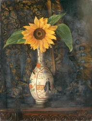 Un tournesol