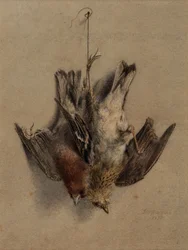 Nature morte, alouettes