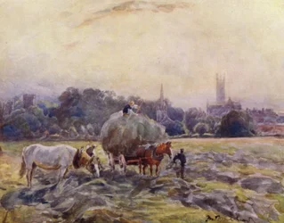 Champ de foin, Warwick