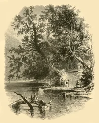 Branche nord de la Susquehanna, à Hunlocks, 1874