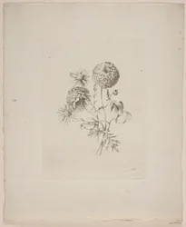 Motif floral