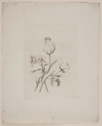 Motif floral