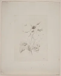 Motif floral