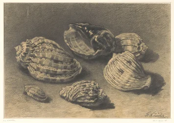 Six coquillages