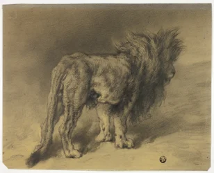Lion debout à la crinière hirsute