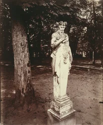 Versailles-Faune