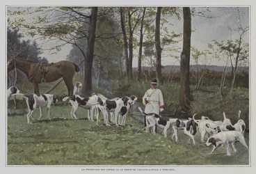 Meute de chiens du Baron de Carayon-Latour à Virelade, France (photo couleur)