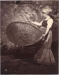 Paysanne avec panier de vannage