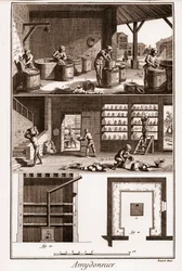 Amydonnier - « La Grande Encyclopédie, ou Dictionnaire Raisonné des Sciences, des Arts et des Métiers » par Denis Diderot (1713-1784) et Jean d