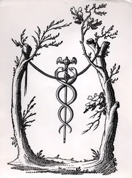 Un caducée