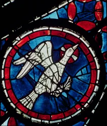 Une colombe de la rose nord, vers 1223