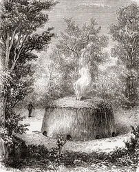 Un four à charbon dans la forêt, d
