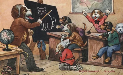 Une classe de chiens