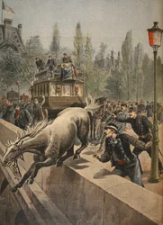 Un cheval se suicidant, illustration tirée de Le Petit Journal: Supplement illustré, 1898