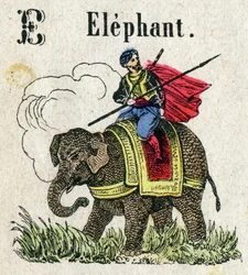 Abécédaire. Lettre E comme Éléphant. Petit alphabet encyclopédique, série populaire. Imagerie d