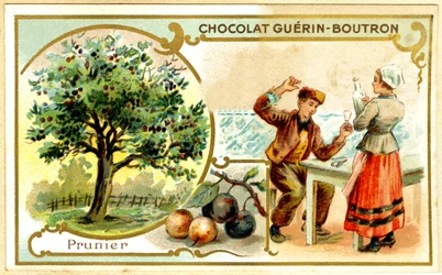 Chromolithographie publicitaire des chocolats Guérin Boutron