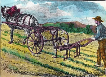 Agriculture : l