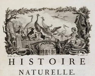 Allégorie d