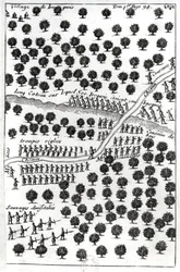 Embuscade des Iroquois, tirée de « Dialogue de M. le baron de Lahontan et d