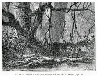 Une ligne de télégraphe électrique dans une forêt américaine, vers 1870 (gravure)