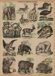 Animaux du Jardin des Plantes, Paris, France