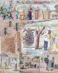 Culture des abeilles, illustration réalisée en France pour publication au Mexique, vers 1900